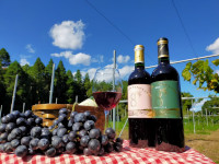 八街産のぶど
うを使用したワインの写真